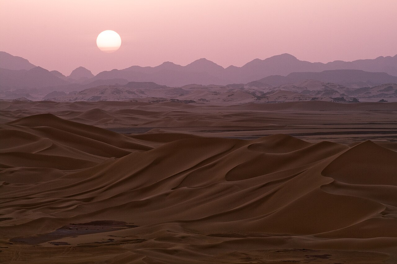 What the desert actually asks of you