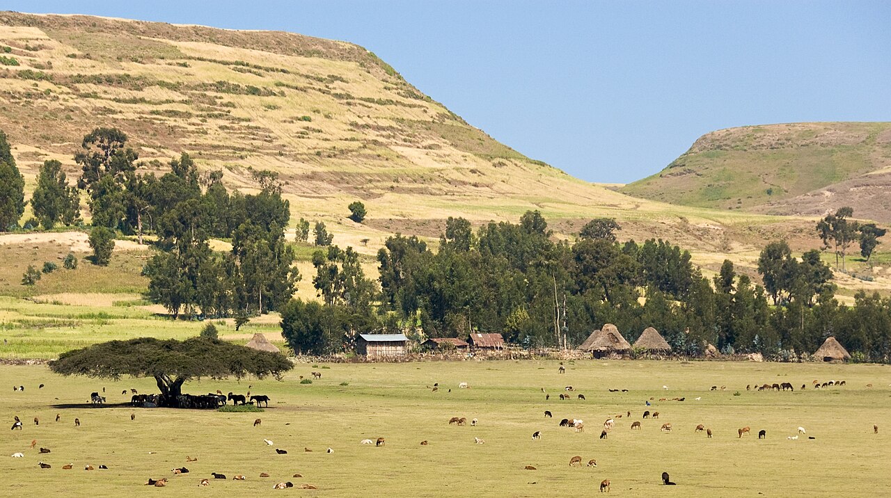 Ethiopia