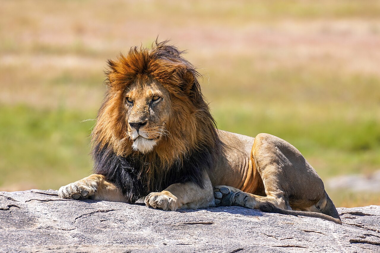 Tanzania
